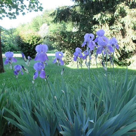 Beppe Country House Villa