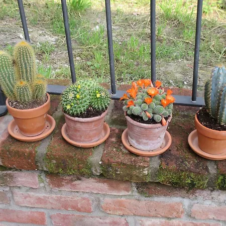Beppe Country House Villa